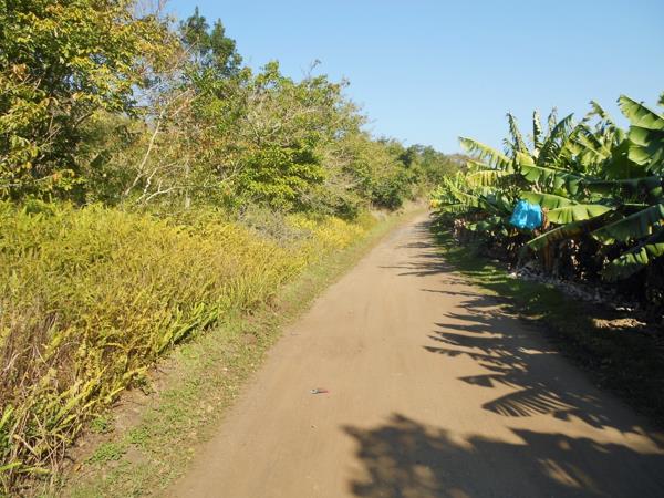 2 441 m² Land