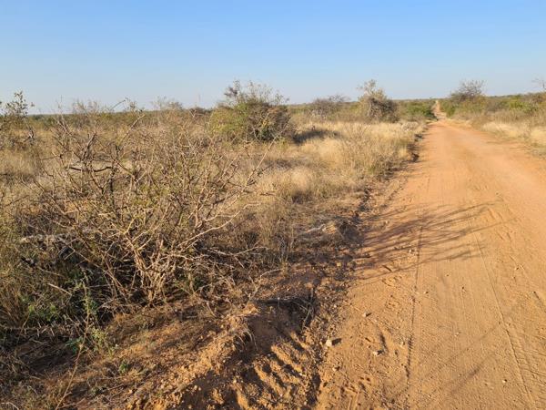 21 ha Land