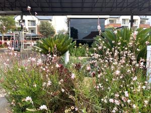 Apartment in Greenstone Hill