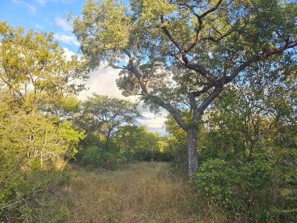 1 ha Land