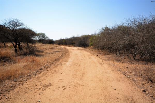 1 ha Land