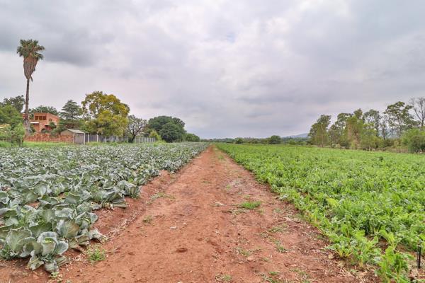 27 ha Smallholding