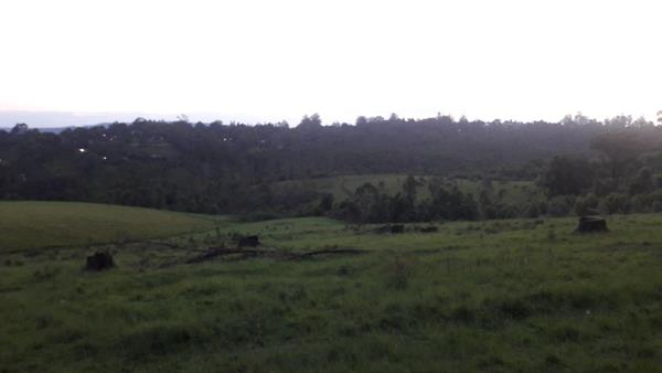 82 ha Land
