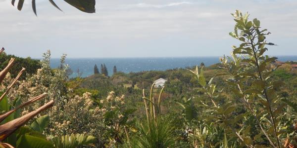 1 506 m² Land