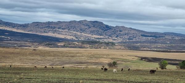 1 360 ha Farm