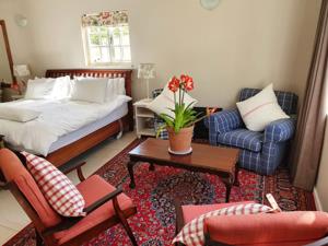 Studio Apartment in Paradise