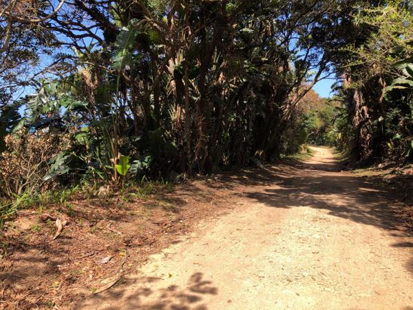 1 317 m² Land