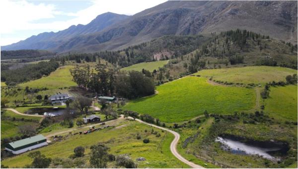 478 ha Farm with House