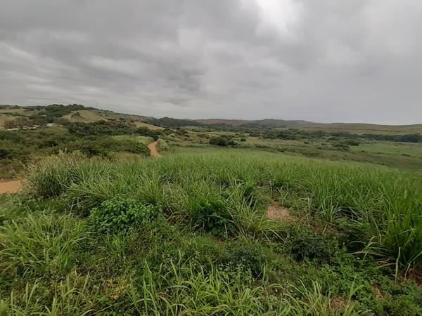Farm
