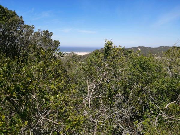 805 m² Land