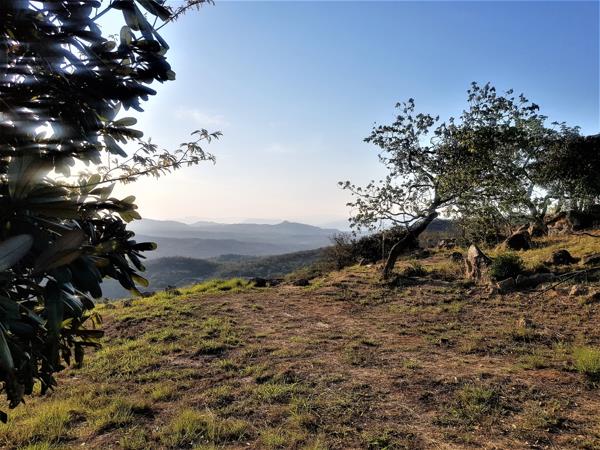1 519 m² Land