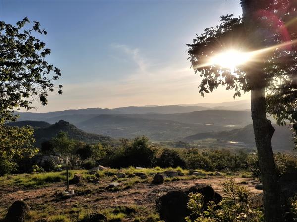 1 519 m² Land