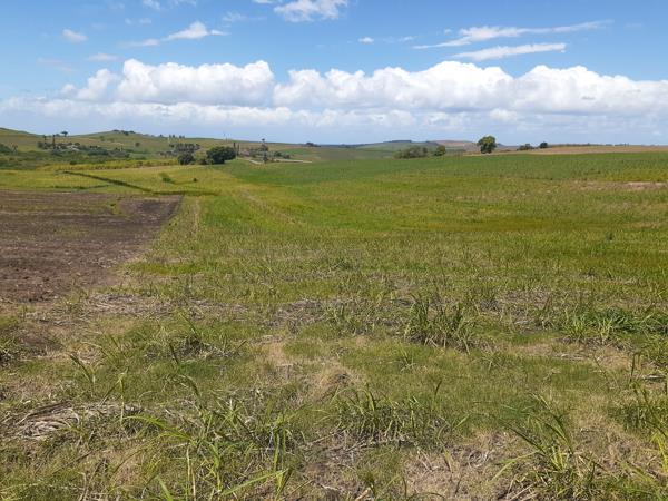 8 ha Farm
