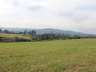25 ha Land