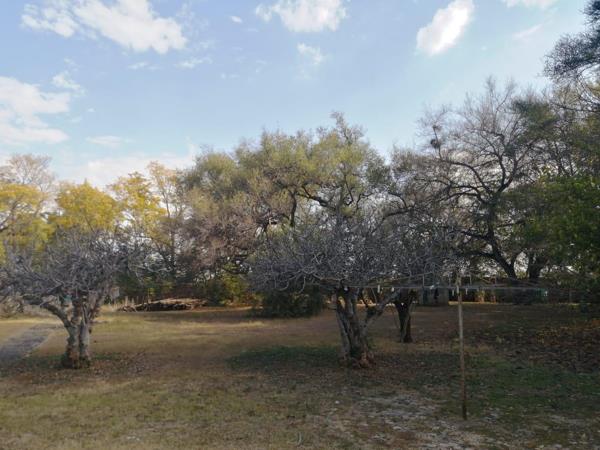 41 ha Farm