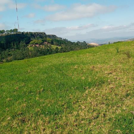 1 324 m² Land