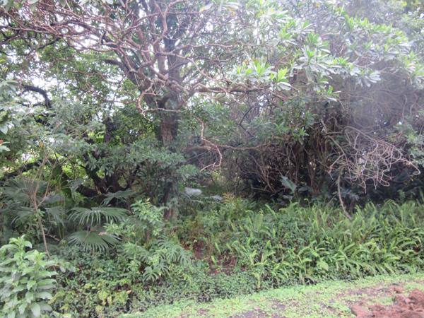 1 275 m² Land