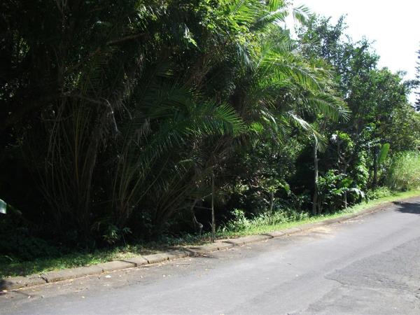 1 438 m² Land