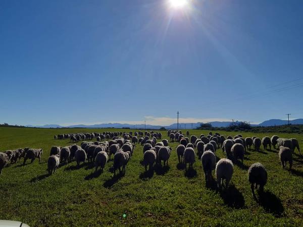 Farm