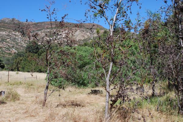 1 213 m² Land