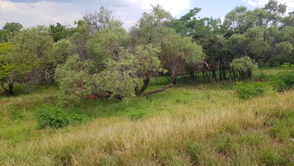 1 170 m² Land