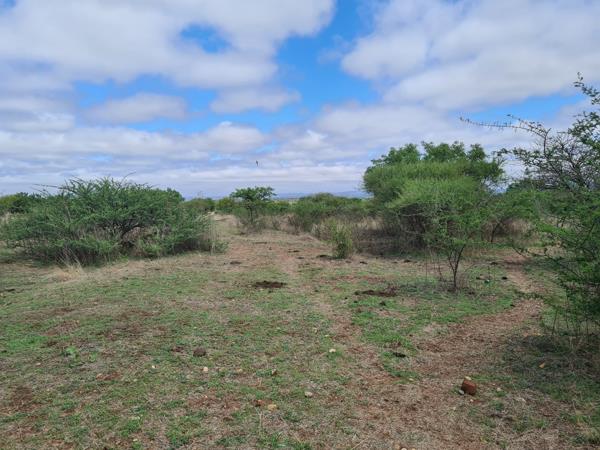 24.8 ha Farm