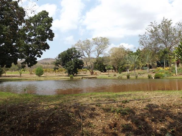 79.5 ha Farm
