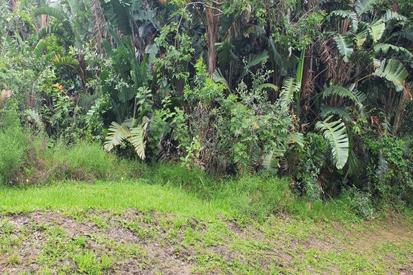 1 386 m² Land