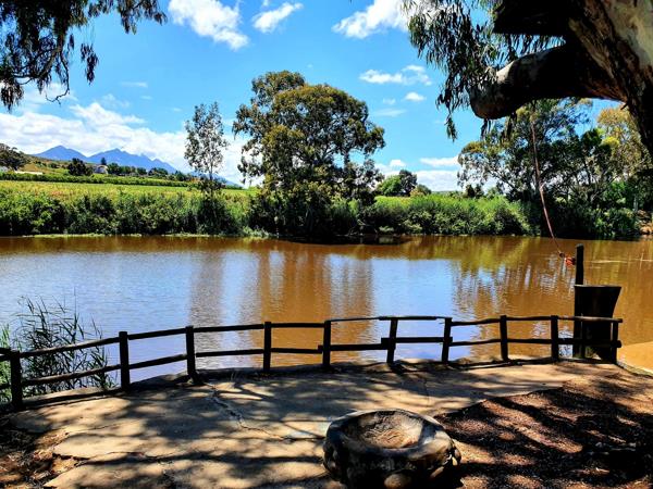 80 ha Farm with House