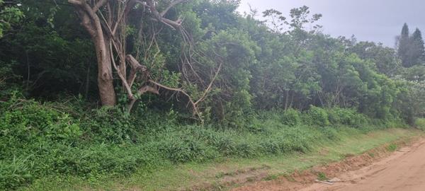 1 000 m² Land