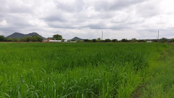 8.7 ha Farm