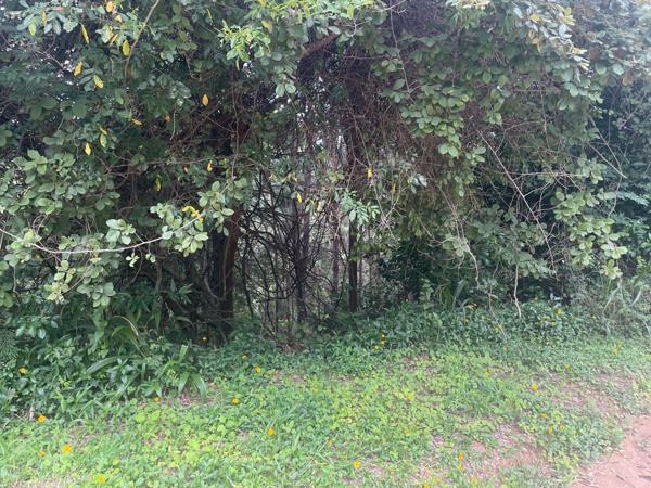 1 349 m² Land