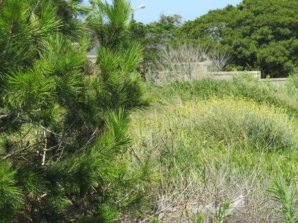 983 m² Land