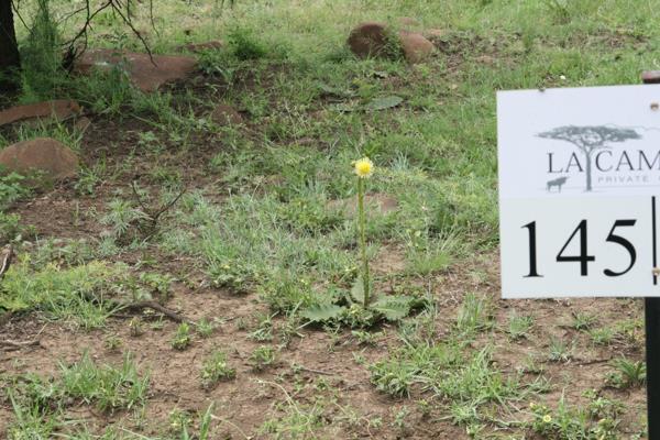 1 266 m² Land
