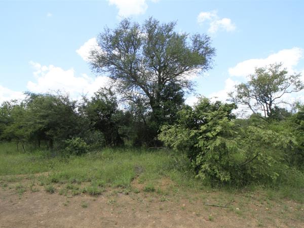 8 124 m² Land
