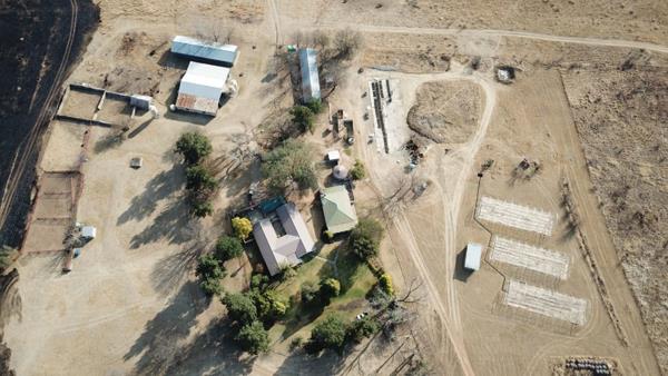 Farm