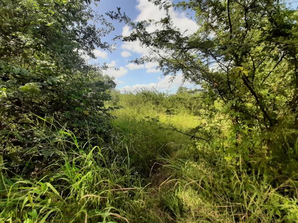 2 464 m² Land