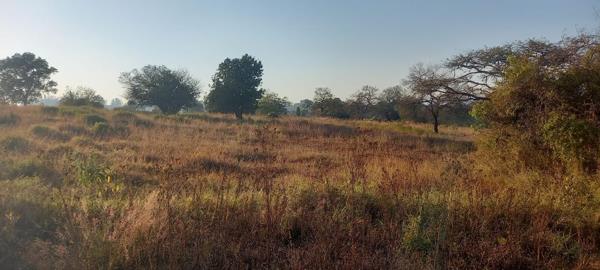 1 318 m² Land