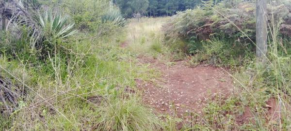 1 525 m² Land