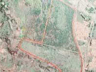 258.2 ha Land