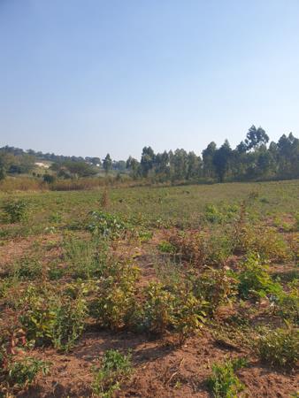 2.2 ha Land
