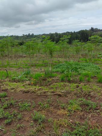 2.2 ha Land