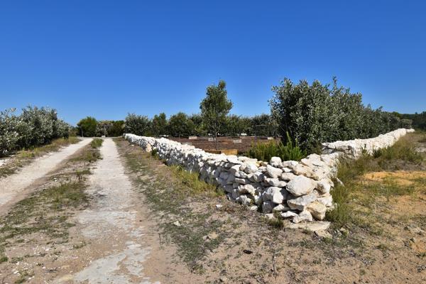 1.1 ha Land