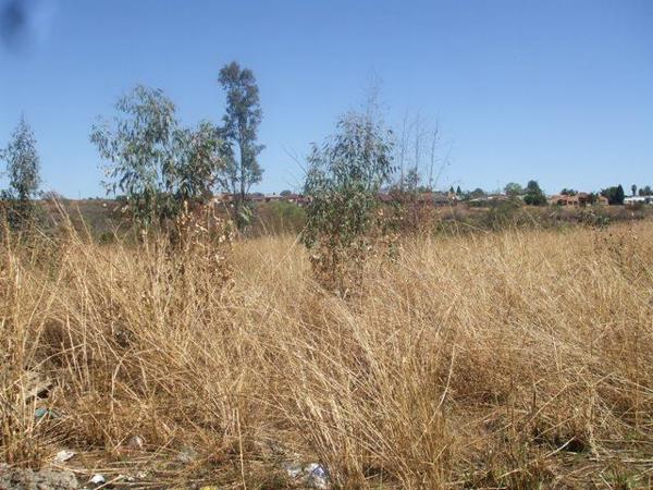 6 692 m² Land