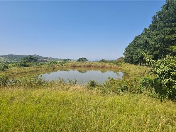 15.9 ha Commercial Farm