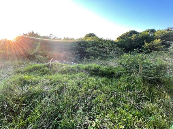 1 330 m² Land