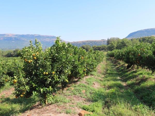 171.3 ha Farm