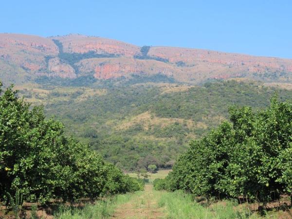135.6 ha Farm
