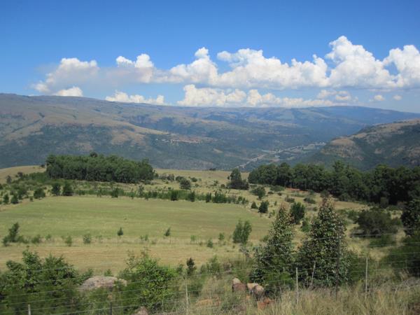 82 ha Farm