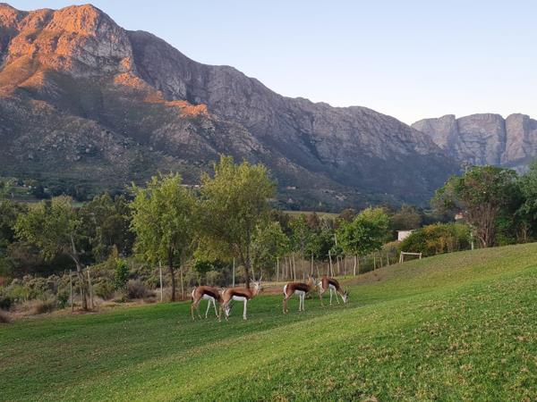 68 ha Farm